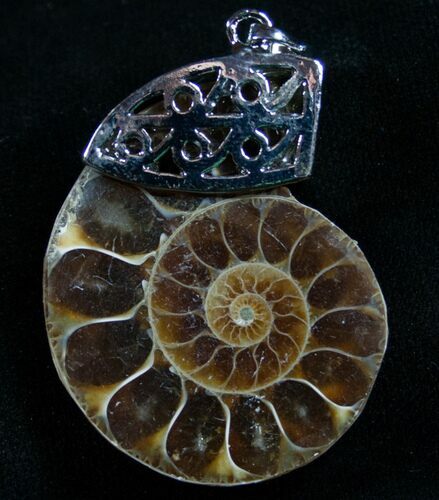 Ammonite Pendant #4274